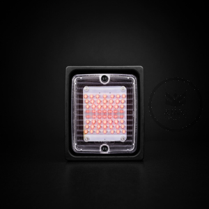 IZE LED Luce posteriore/stop LED con lente trasparente - STRANDS