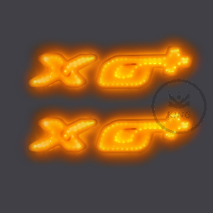 Paire de bases lumineuses pour le logo original DAF XG+ - LED ORANGE