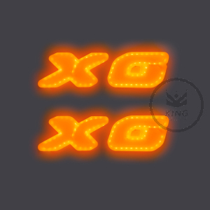 Paar Leuchtsockel für Original DAF XG Logo - LED ORANGE